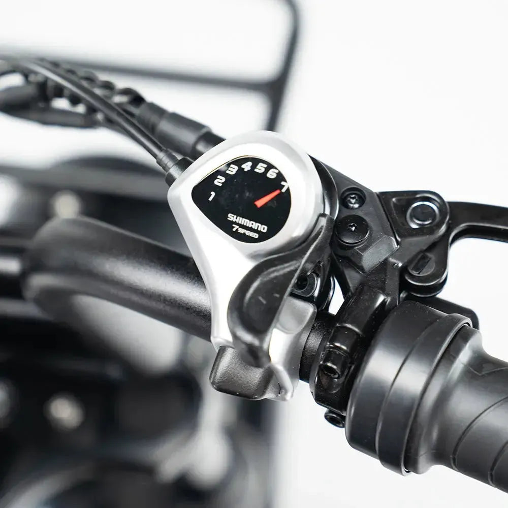 S20 Pro Fatbike Donker Grijs