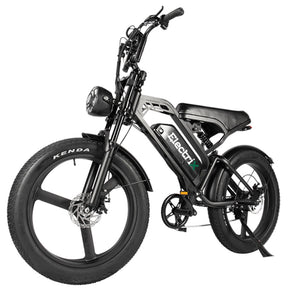 V20 Max 24 inch