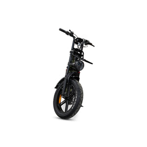 V20 Comfort Fatbike Groen