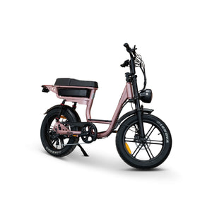 V20 Comfort Fatbike Rose