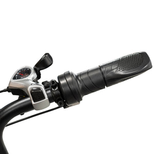 V20 Comfort Fatbike Groen