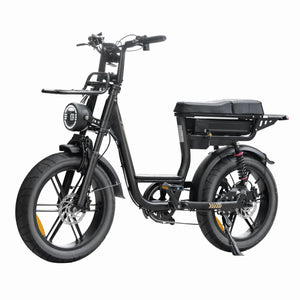 V20 Comfort Fatbike Zwart