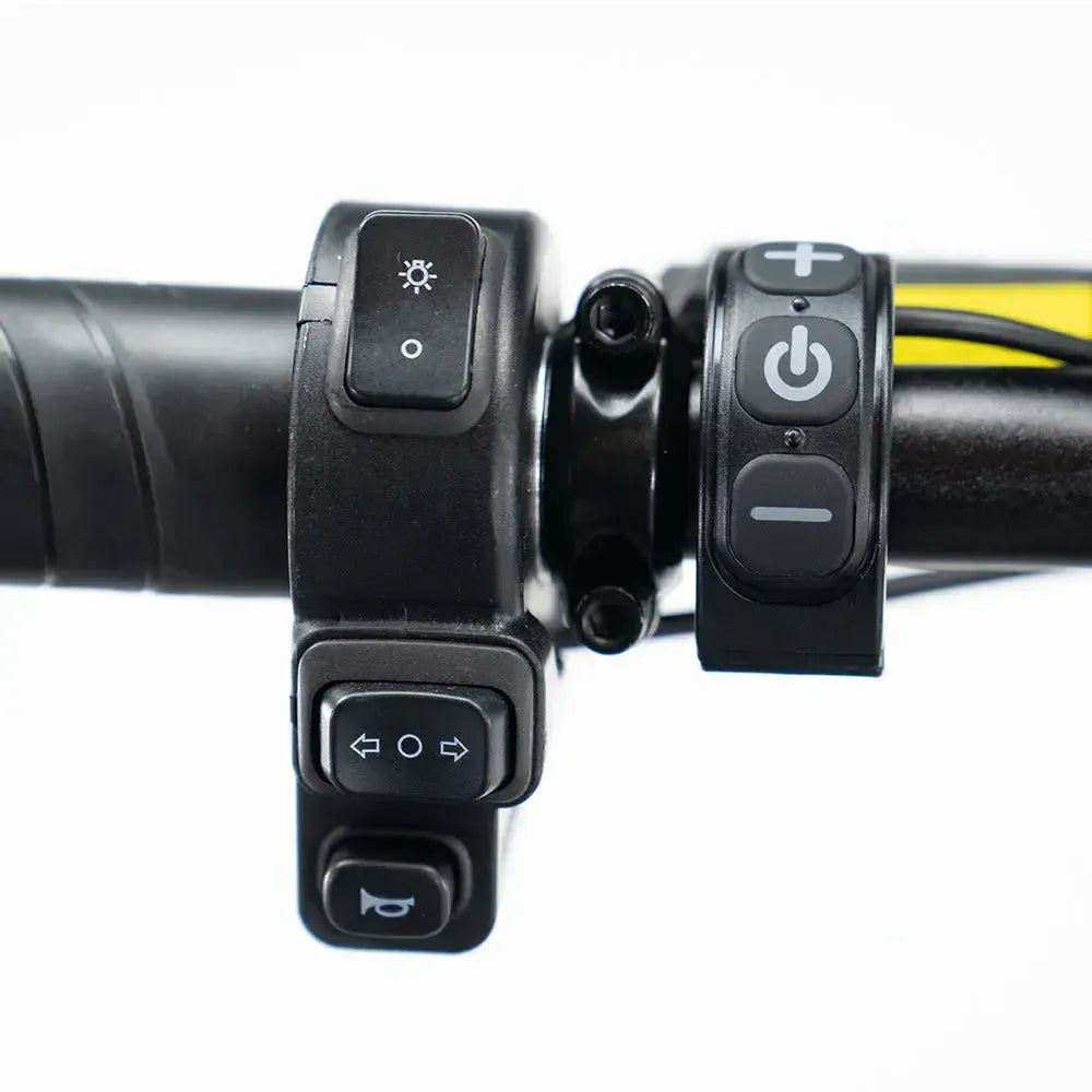 S20 Pro Fatbike Zwart