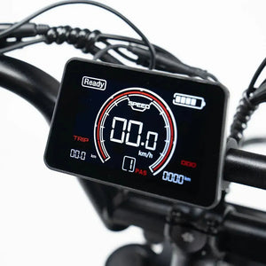 S20 Pro Fatbike Zwart