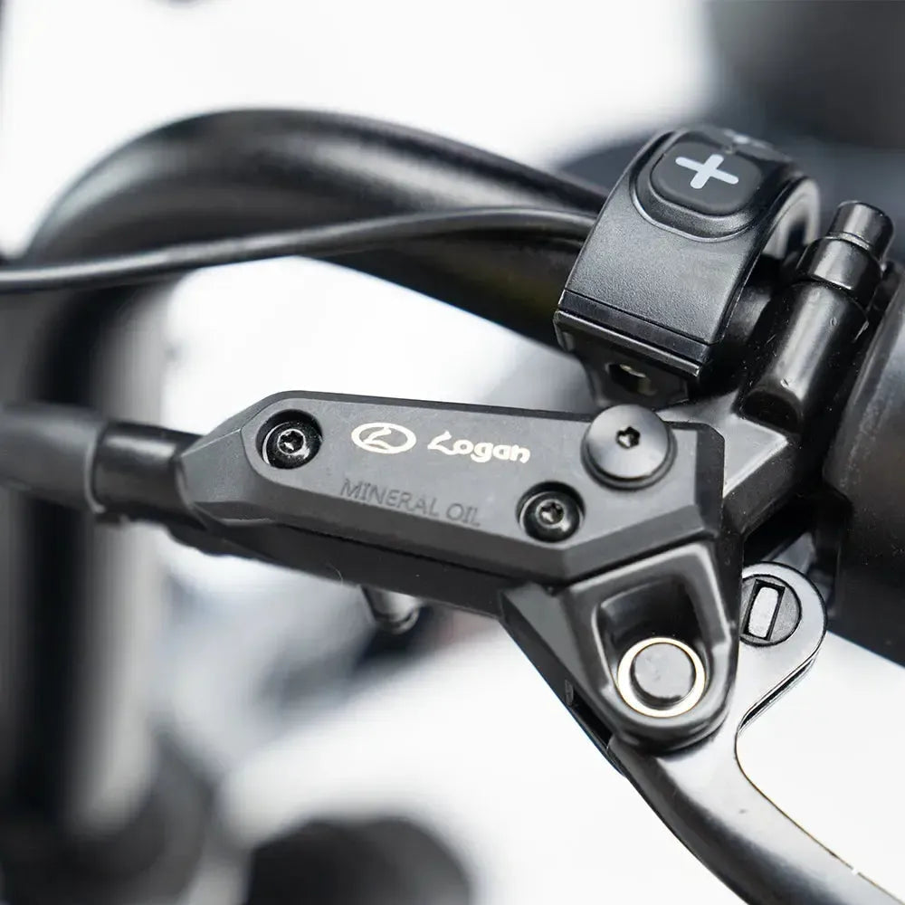 S20 Pro Fatbike Donker Grijs