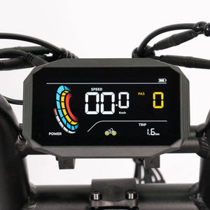 V20 Pro mini Fatbike - Zwart