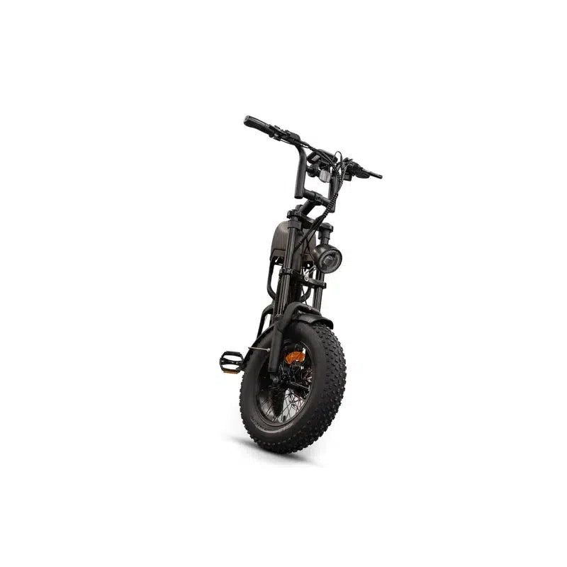 V20 Pro mini Fatbike - Zwart