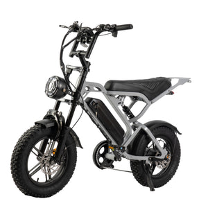 V20 Pro mini Fatbike - Nardo Grijs